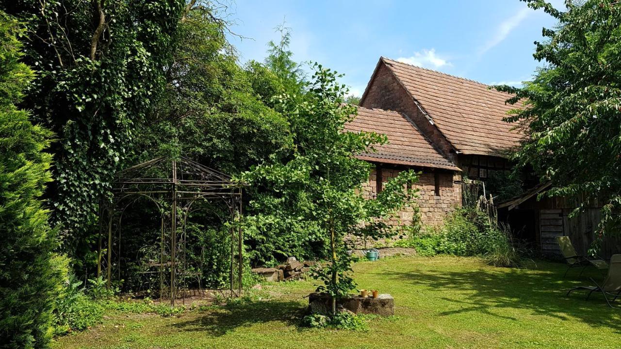 Gite Au Petit Ruisseau-Etage Et Combles-Maison Alsacienne 4 Personnes 4 Nuitees Minimum Langensoultzbach 외부 사진