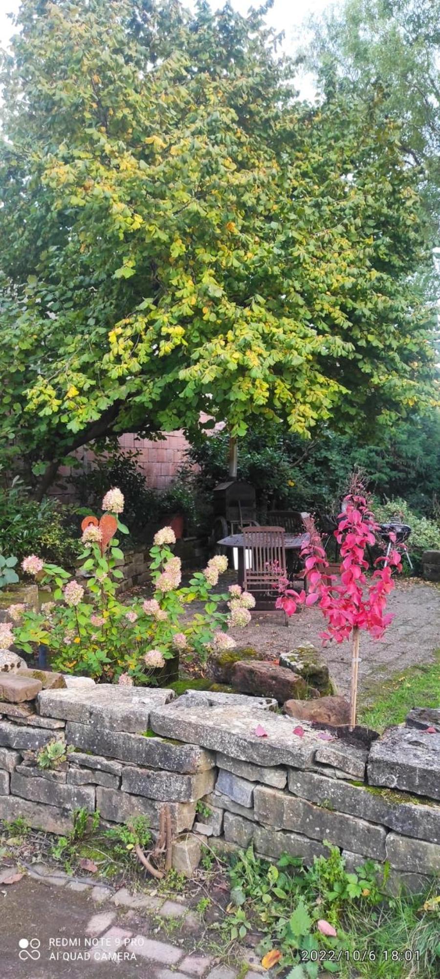 Gite Au Petit Ruisseau-Etage Et Combles-Maison Alsacienne 4 Personnes 4 Nuitees Minimum Langensoultzbach 외부 사진